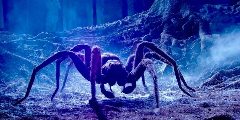 Harry Potter Spider