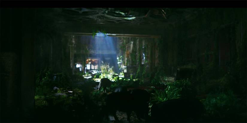 Inside a building overgrown with plant life in "Wheel of Fire" episode of Station Eleven