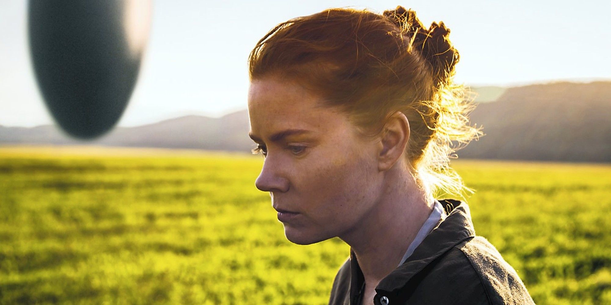 10 Greatest Performances in Denis Villeneuve Movies, Ranked