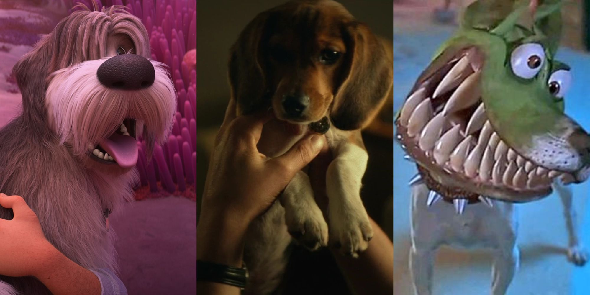 Legend, Daisy and Milo