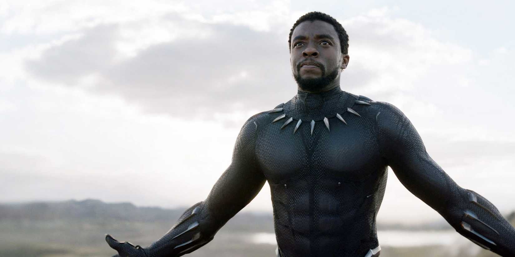 Chadwick Boseman as T'Challa, aka Black Panther, with his mask off in Black Panther.