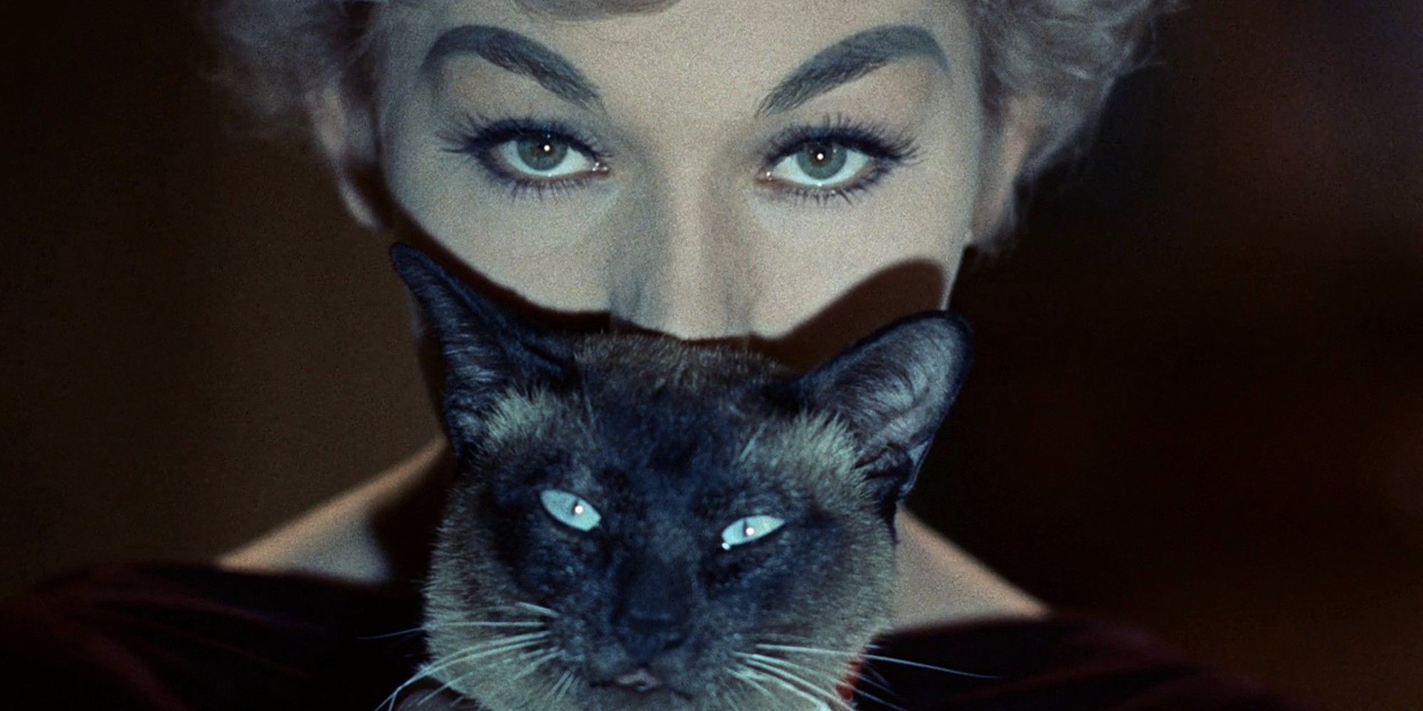 Pyewacket from 'Bell, Book and Candle'