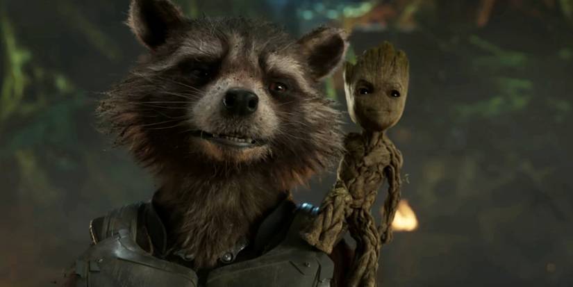Galaxy Racoons From Rocket to Raccacoonie, Why Are Raccoons So Iconic In Movies?