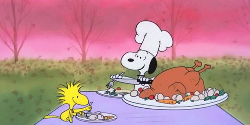 Snoopy and Woodstock in A Charlie Brown Thanksgiving
