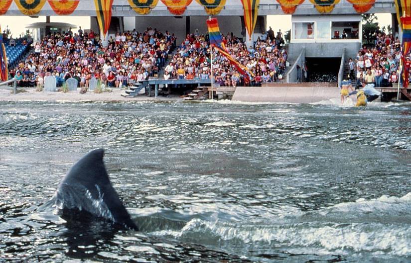 Jaws 3D Didn't Need the D