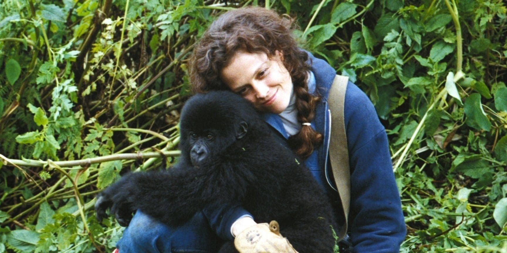 15 Best Sigourney Weaver Movies, Ranked