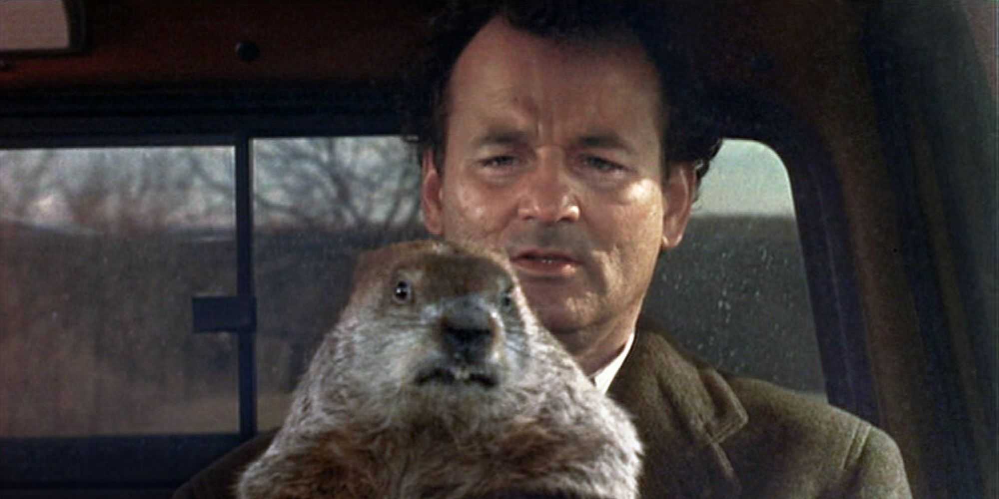 Groundhog Driving Stephen King Just Revealed His 10 Favorite Movies, and One Specific ...