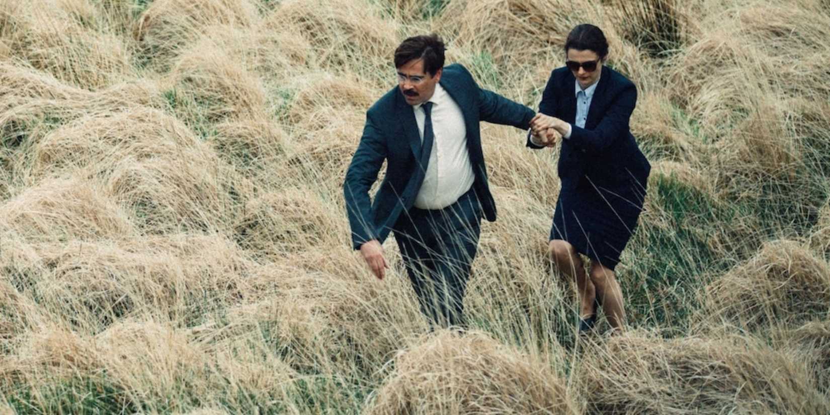 David (Colin Farrell) leading Short-Sighted Woman (Rachel Weisz) through a grassy field in The Lobster