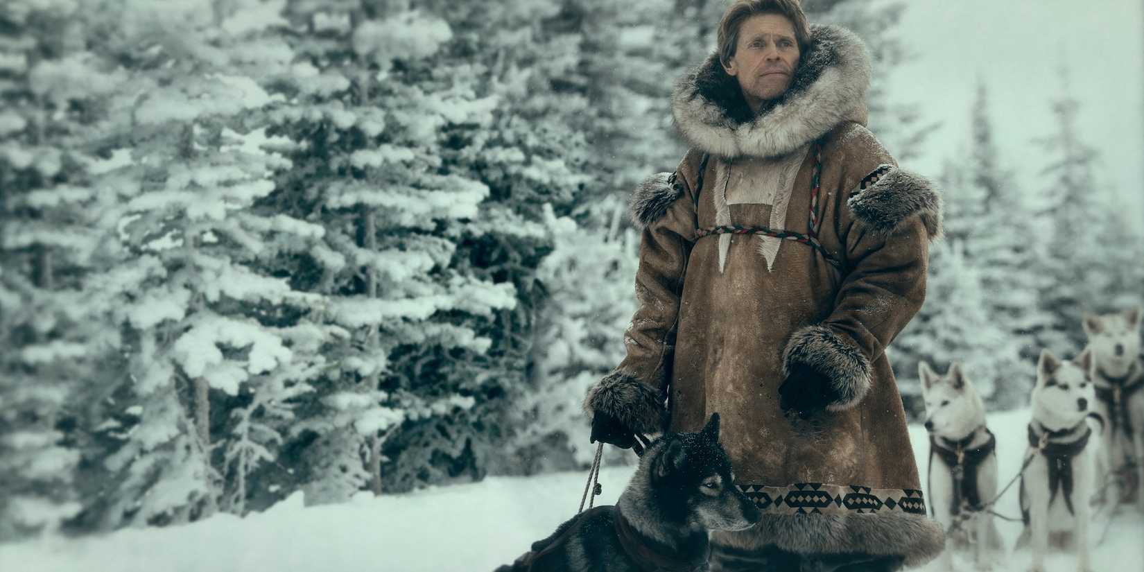 Leonhard and Togo with their sled dogs in the snow in 'Togo.'