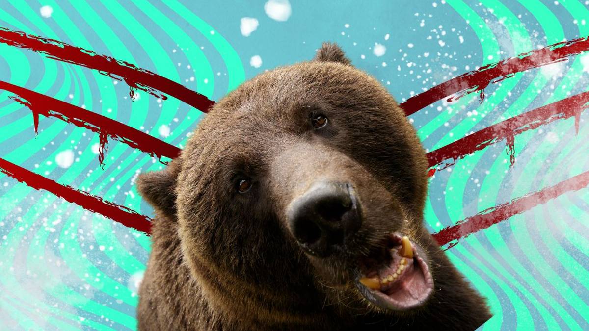Cocaine Bear and the Dangers of the Wannabe Cult Classic