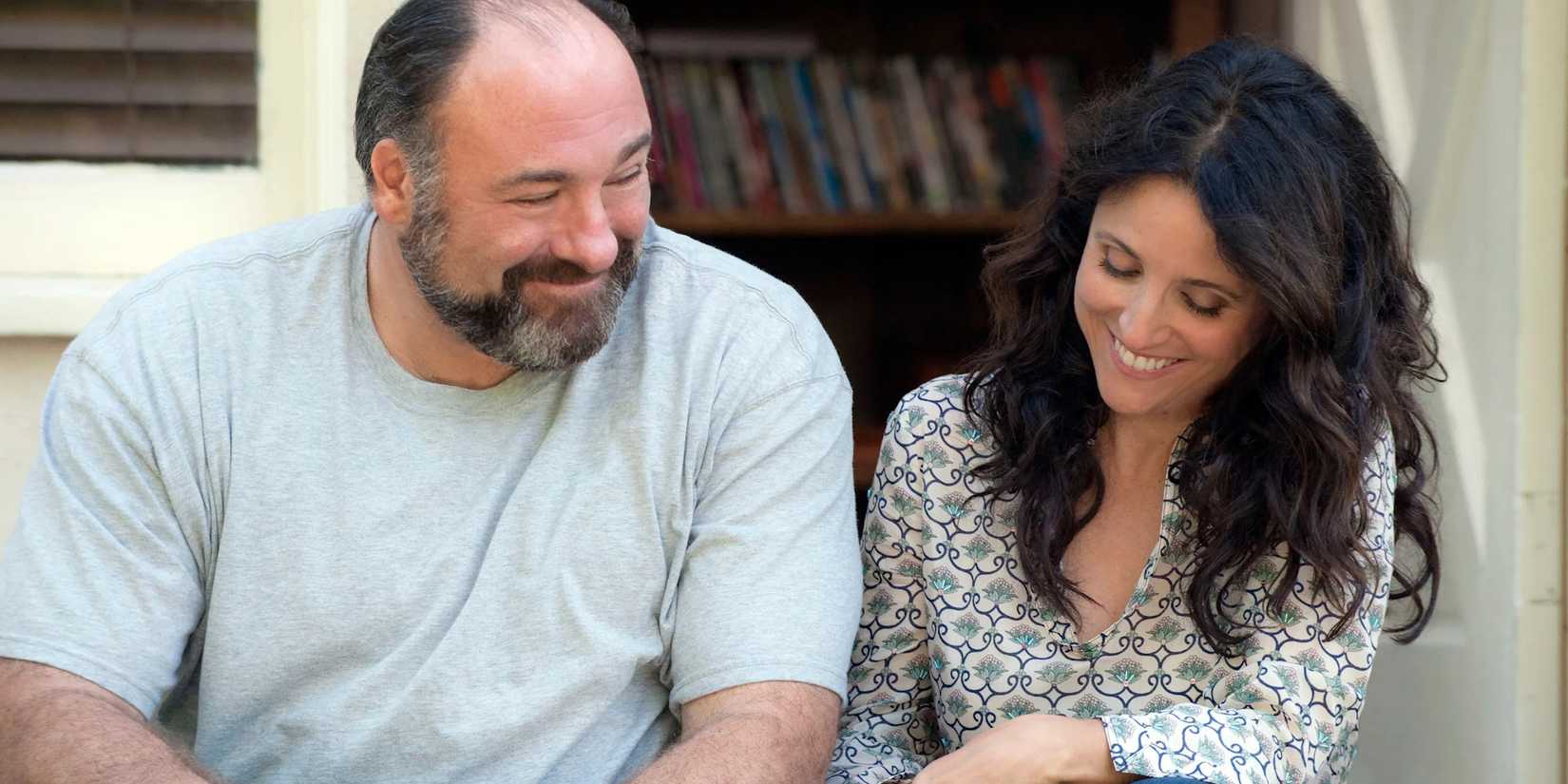 James Gandolfini and Julia Louis-Dreyfus as Albert and Eva, sitting on the steps of a porch, smiling, in 'Enough Said'