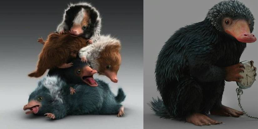 10 Cutest Magical Creatures in the Wizarding World