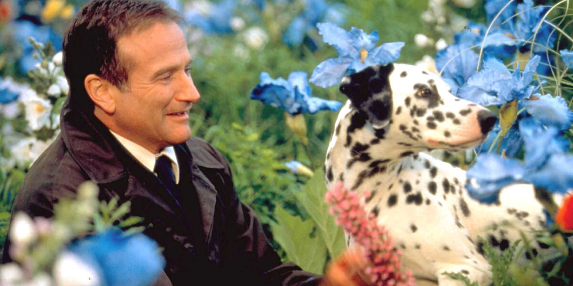 Robin Rotten Actor 20 Best Robin Williams Movies, Ranked According to Rotten Tomatoes