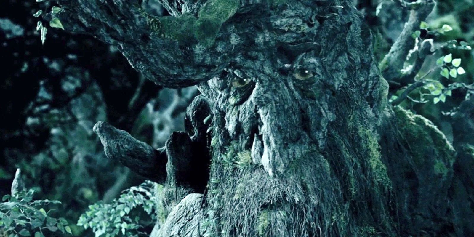 What Really Happened To The Entwives In 'The Lord Of The Rings ...