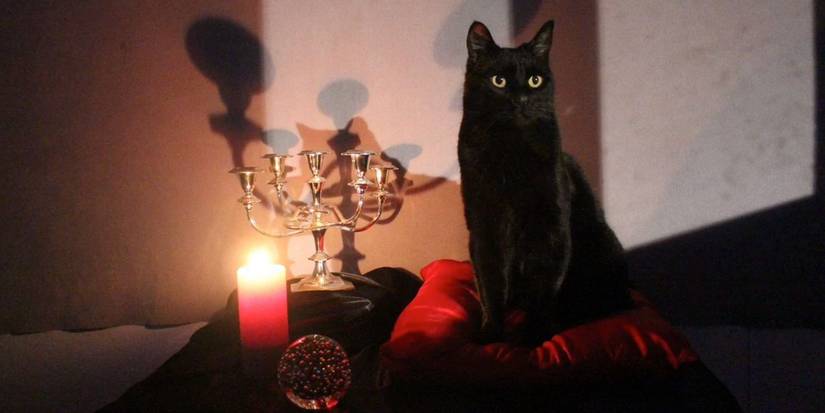 Salem from the show the 'Chilling Adventures of Sabrina.'