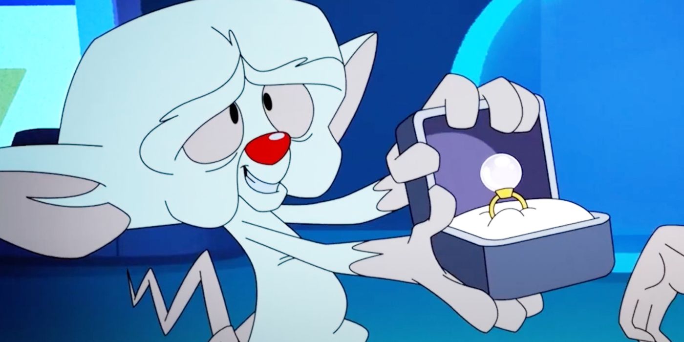 animaniacs-social-feature