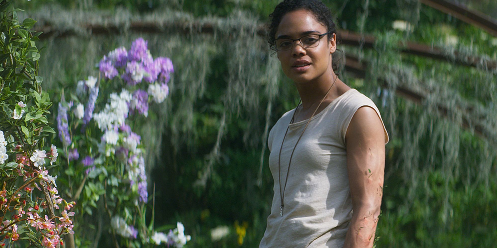 One of the Most Divisive Sci-Fi Movies of the 21st Century Shimmers Onto a New Streaming Home