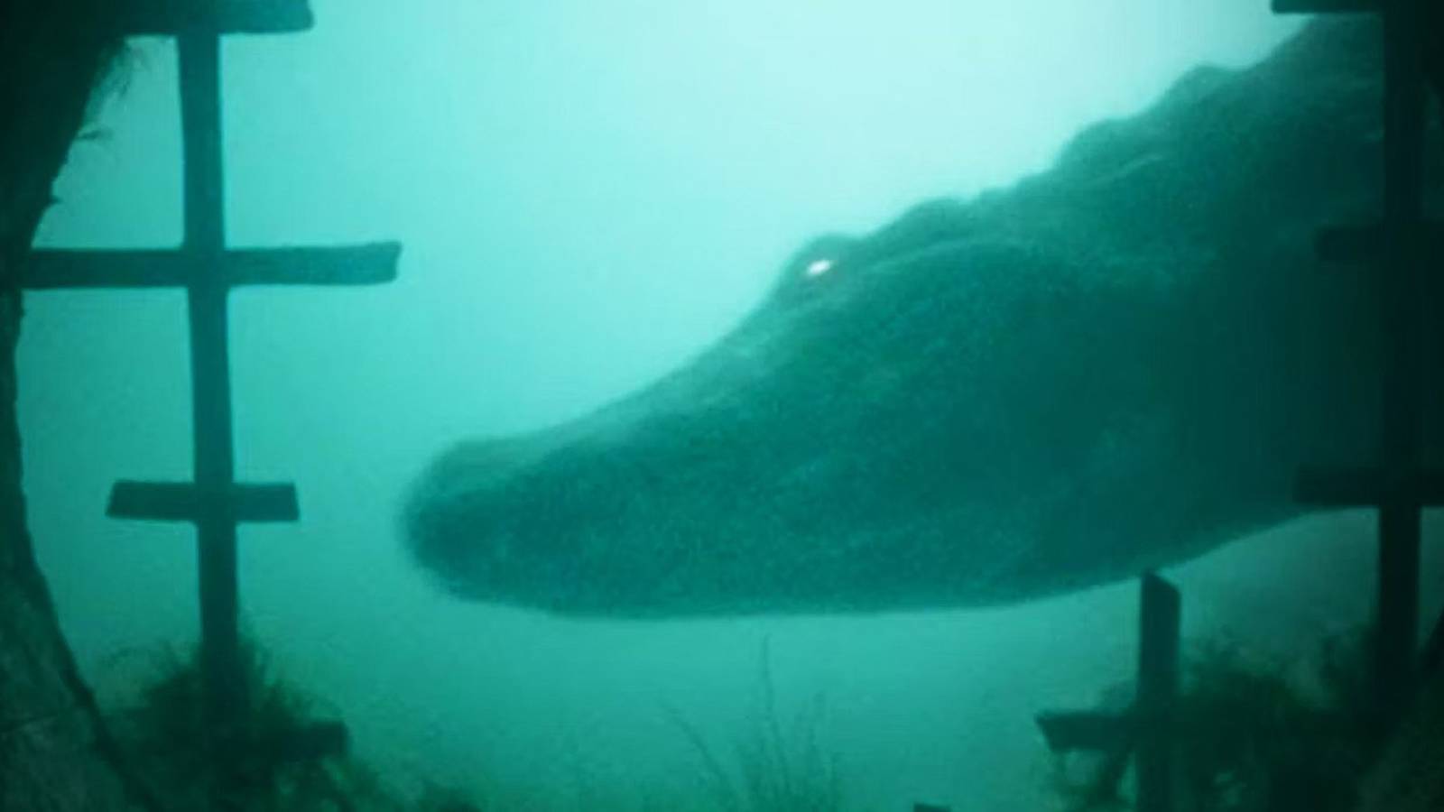 This Sleeper Hit Creature Feature Is Finally Getting a Sequel