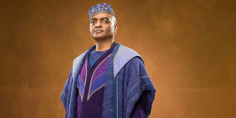 Every Major Harry Potter Character Whose Fate Wasn't in the Movies
