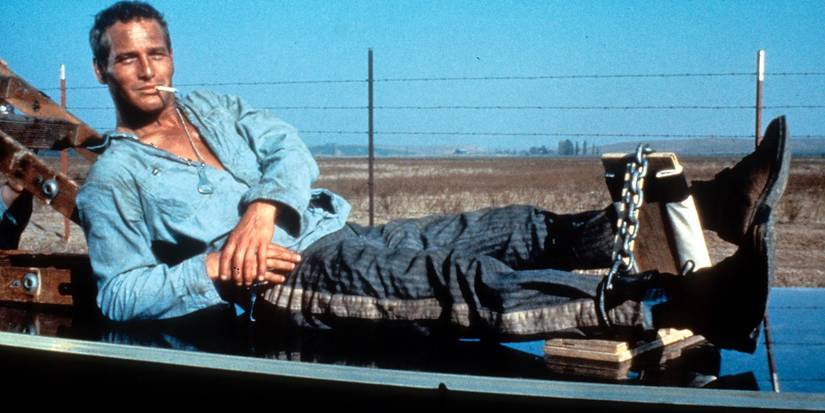 Paul Newman in Cool Hand Luke
