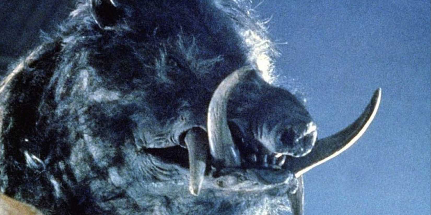 Feral Razorback 10 Most Enjoyable 'Jaws' Ripoffs, Ranked