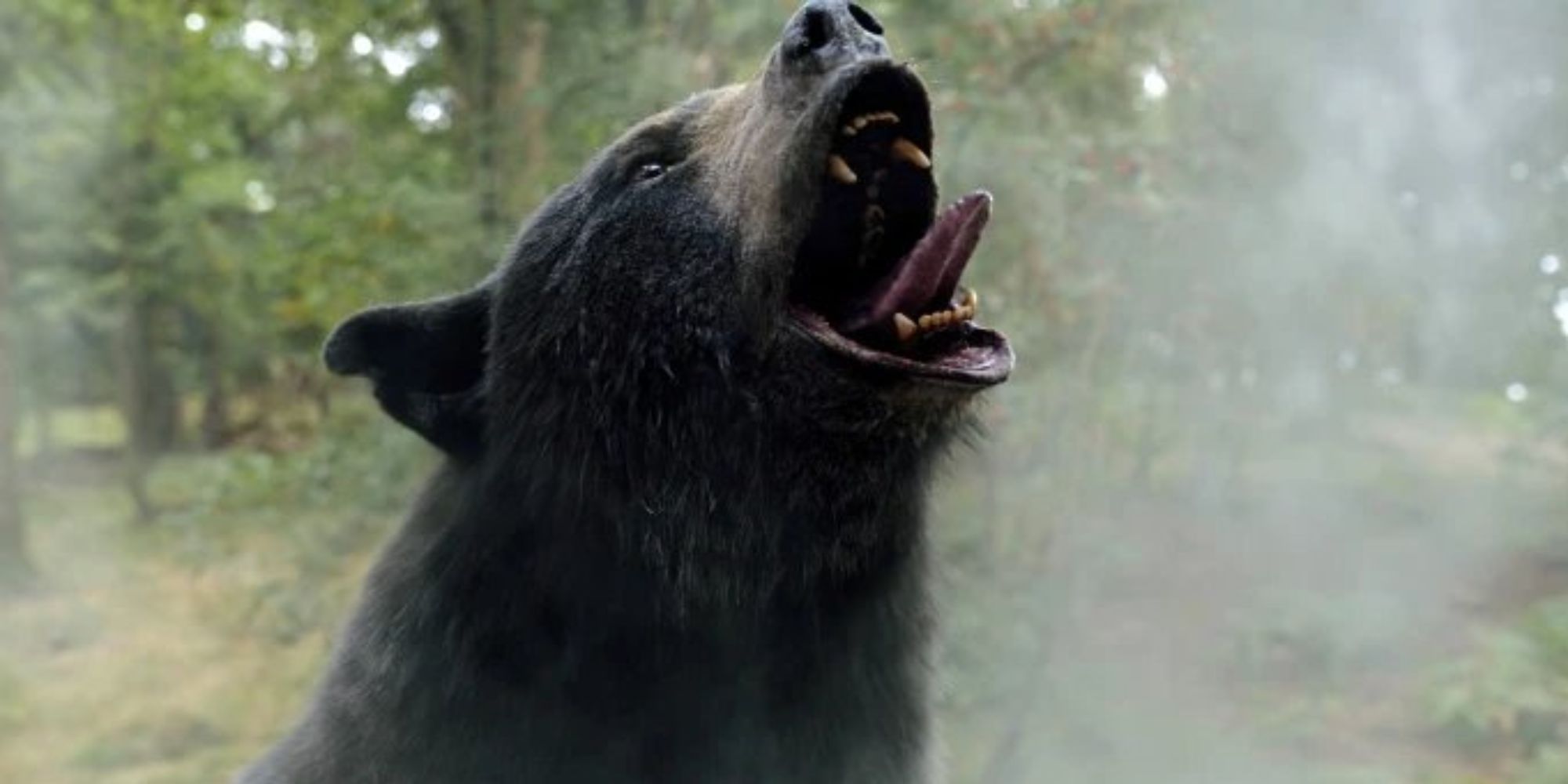 cocaine-bear-2023 9 Most Campy Horror Movies From the Last 5 Years, Ranked