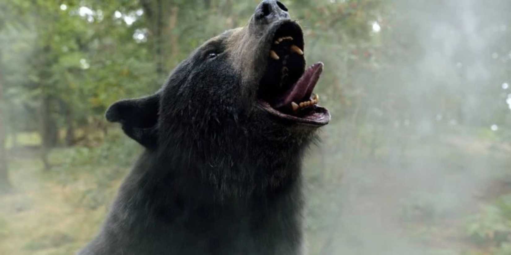 A bear roaring while surrounding by a cloud of cocaine in Cocaine Bear’ (2023)