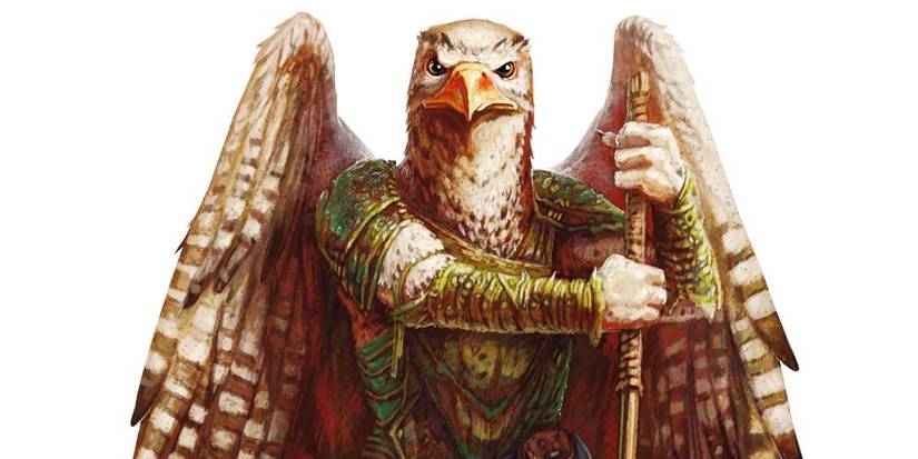 'Dungeons & Dragons: Honor Among Thieves': Every Humanoid Race Explained