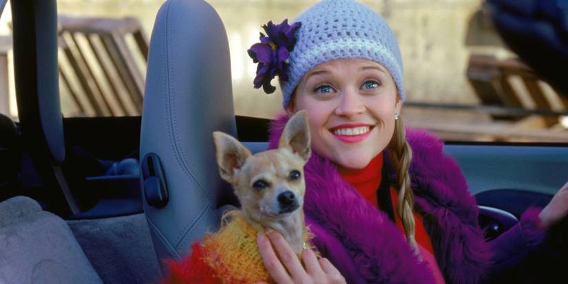 Reese Witherspoon and dog Bruiser in Legally Blonde