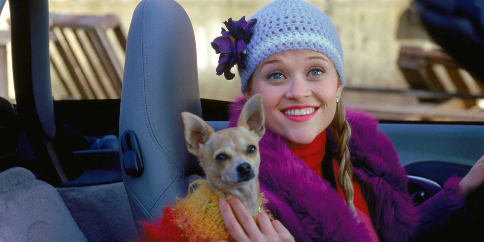 Reese Witherspoon and dog Bruiser in Legally Blonde