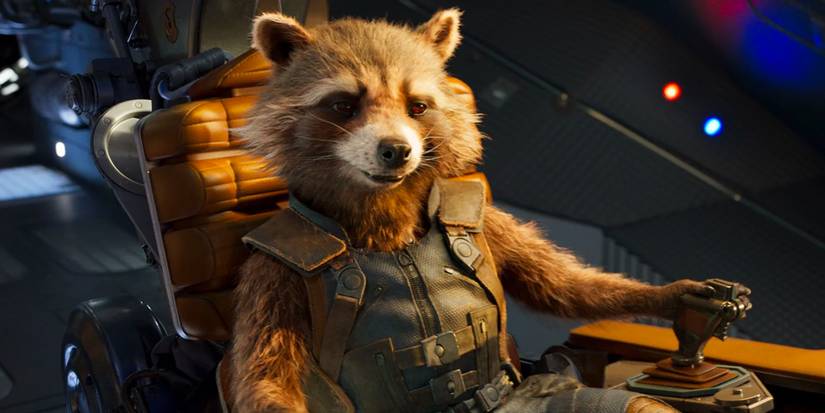 From Rocket to Raccacoonie, Why Are Raccoons So Iconic In Movies?