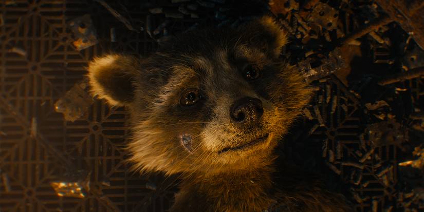 ‘Guardians of the Galaxy 3’: How Was Rocket Made?