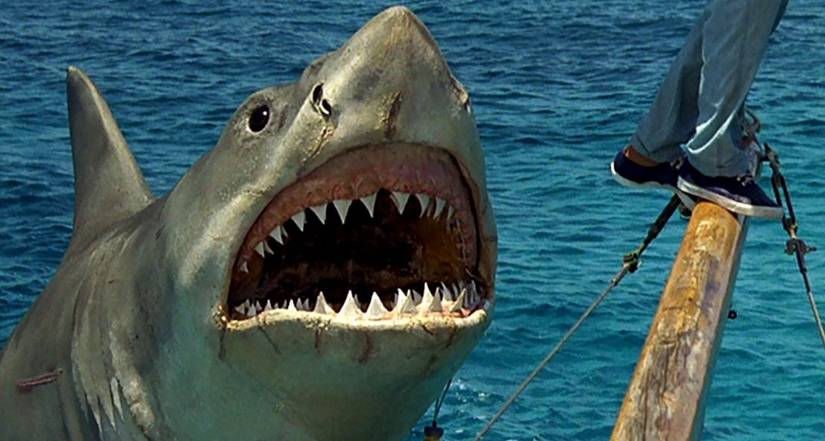 Shark coming out from the water in Jaws: The Revenge