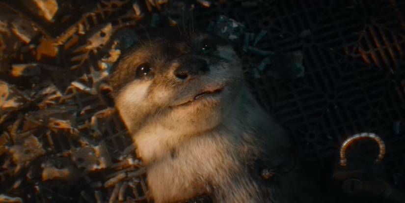 Guardians Of The Galaxy Vol 3 Who Is Lylla The Otter guardians-of-the-galaxy-vol-3-who-is-lylla-the-otter