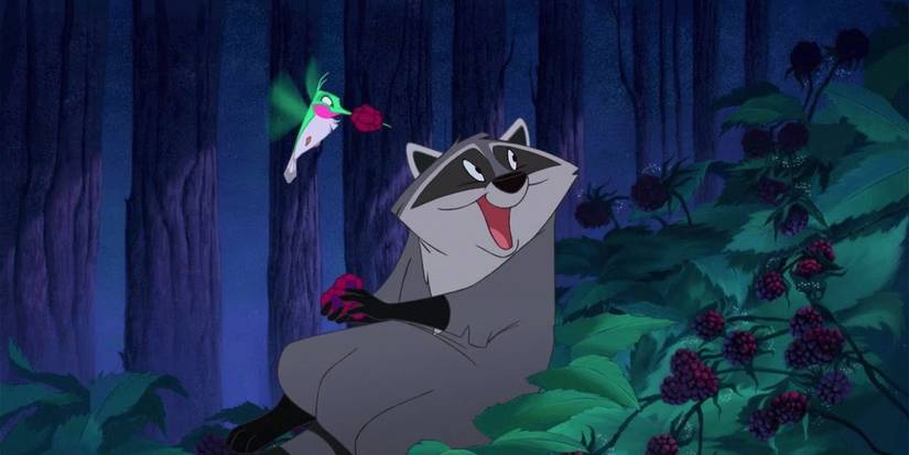 From Rocket to Raccacoonie, Why Are Raccoons So Iconic In Movies?