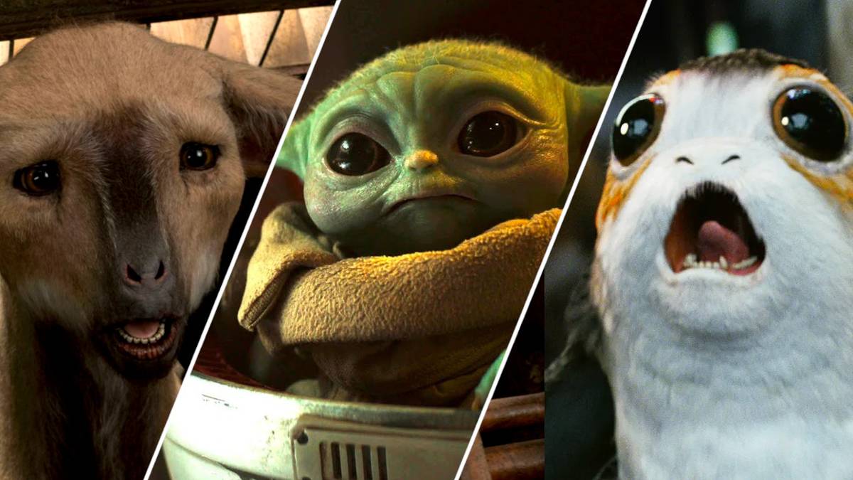 The 12 Cutest 'Star Wars' Characters, Ranked