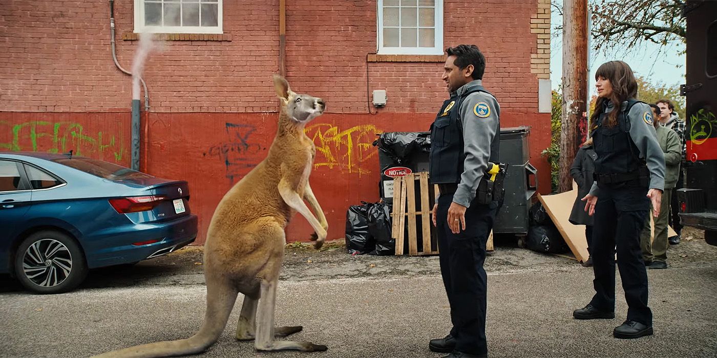 ‘Animal Control’ Season 3 Renewed on Fox