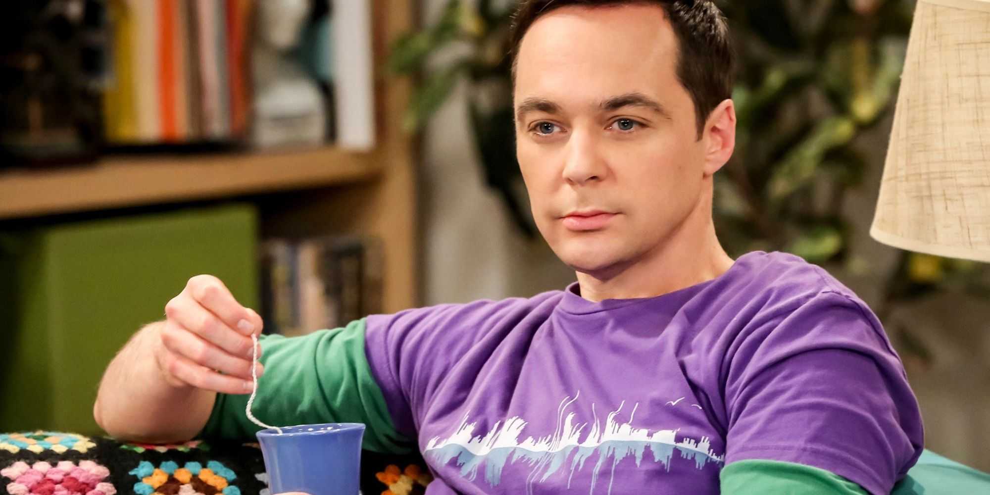 Sheldon Drinking 20 Greatest Male Sitcom Characters of All Time, Ranked