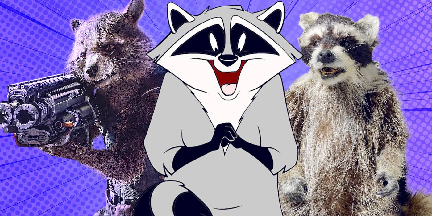 Galaxy Racoons From Rocket to Raccacoonie, Why Are Raccoons So Iconic In Movies?