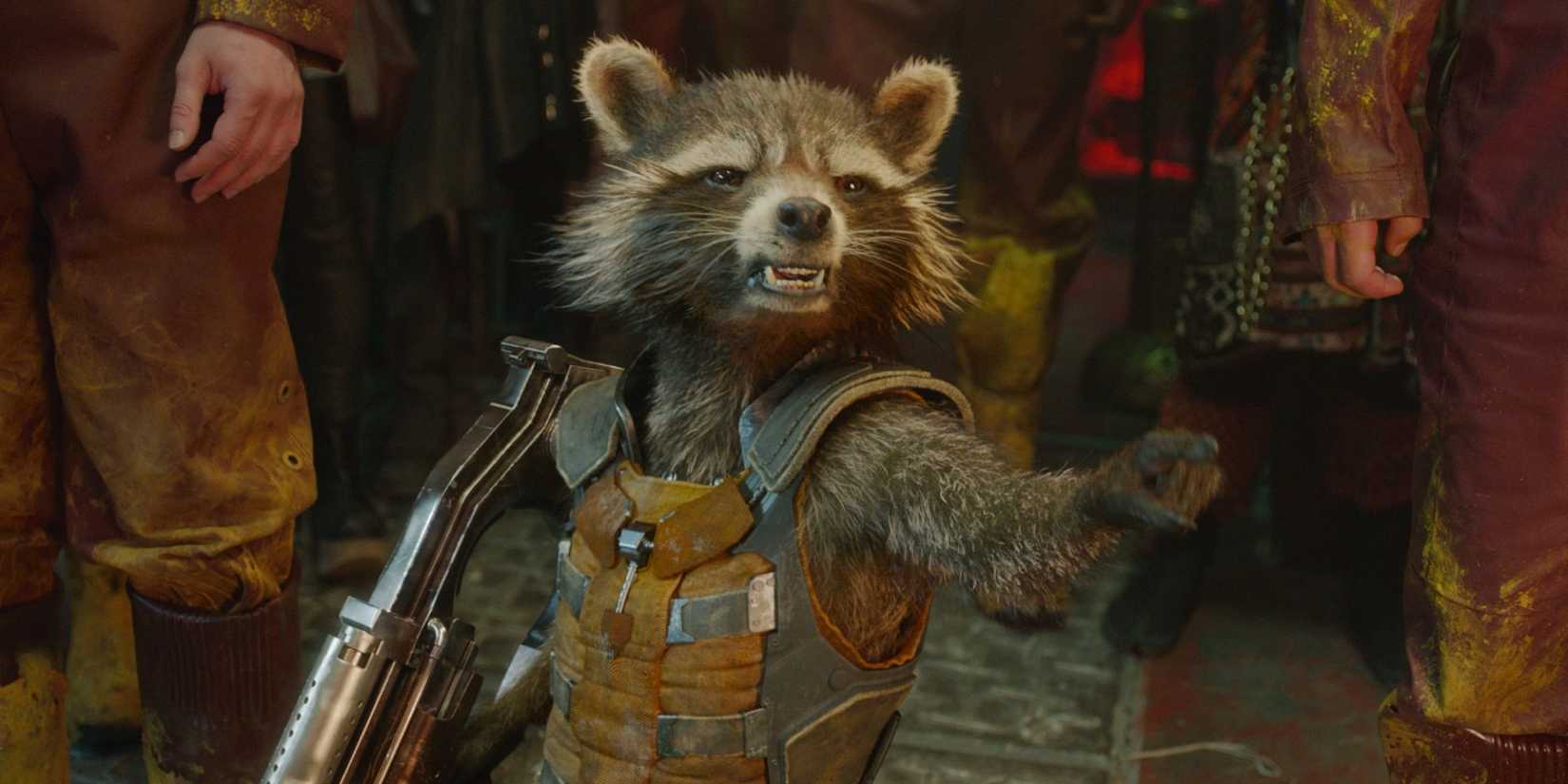 Rocket Raccoon (Bradley Cooper) shouts angrily in Guardians of the Galaxy (2014).