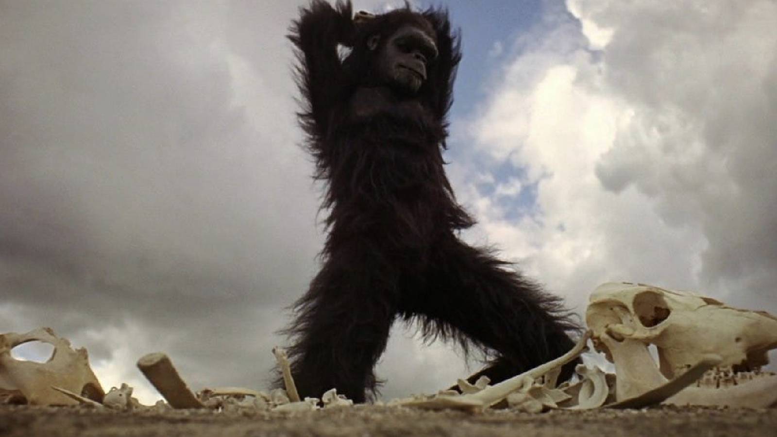 Only 3 Sci-Fi Movies Are Better Than '2001: A Space Odyssey'