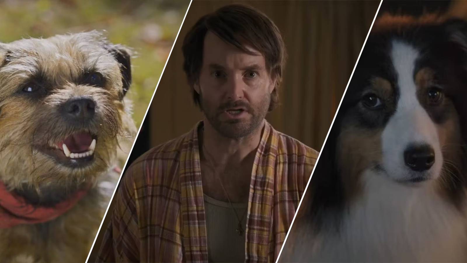 The 10 Funniest 'Strays' Characters, Ranked