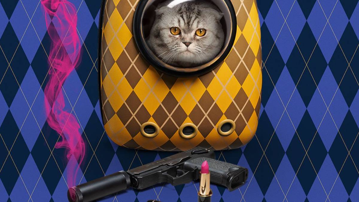 Why Matthew Vaughn Fired the Cat Actor in 'Argylle' For His 