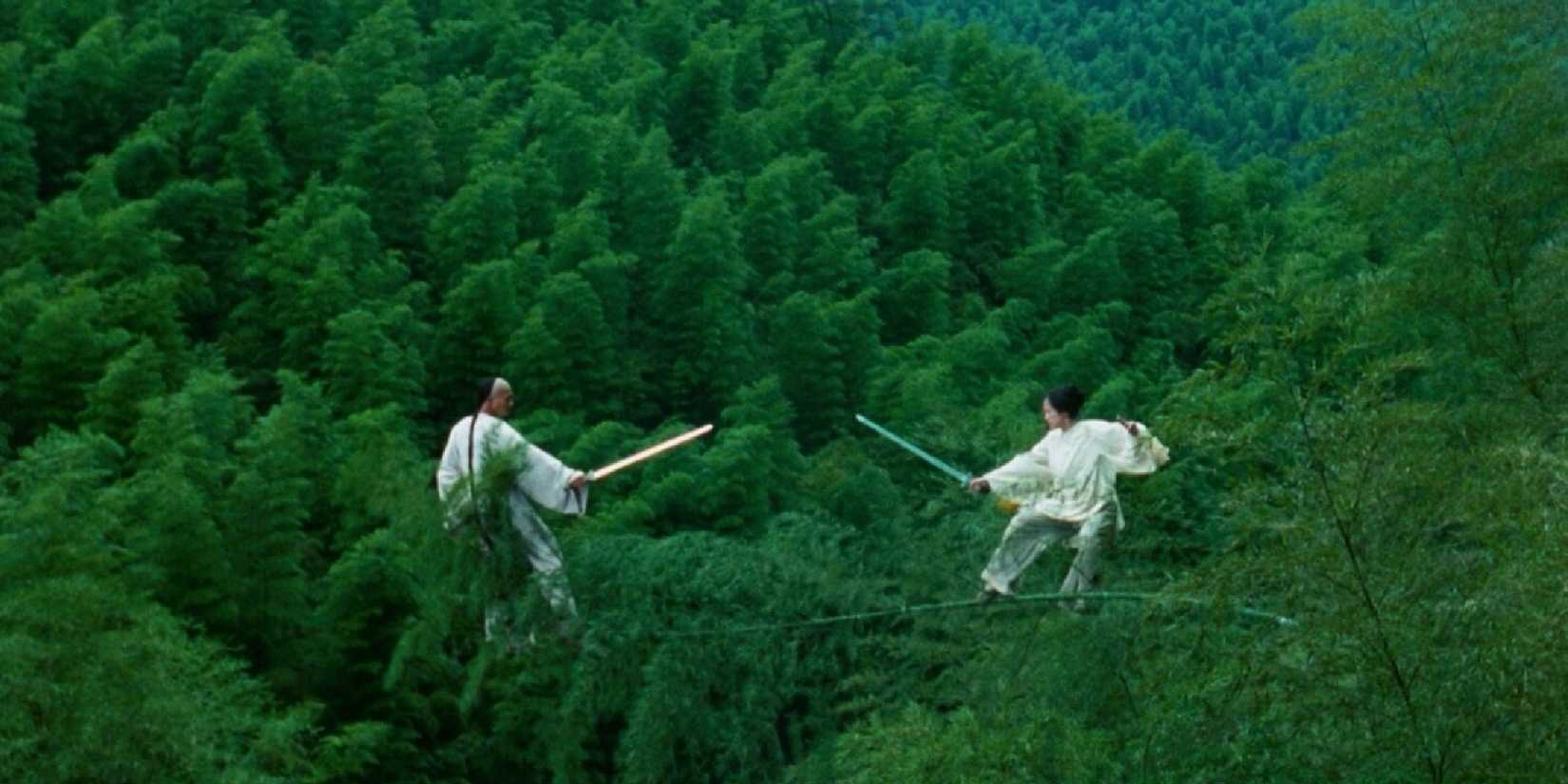 Two warriors fighting among the trees in Crouching Tiger Hidden Dragon