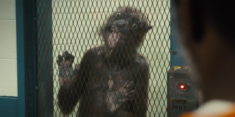 ‘Creature Commandos’ - What We Know About James Gunn’s DCU Monster Mash