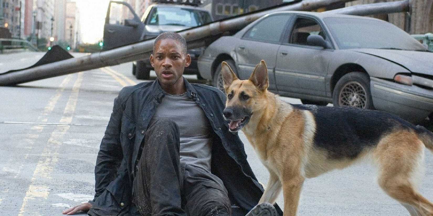 Sam in I Am Legend