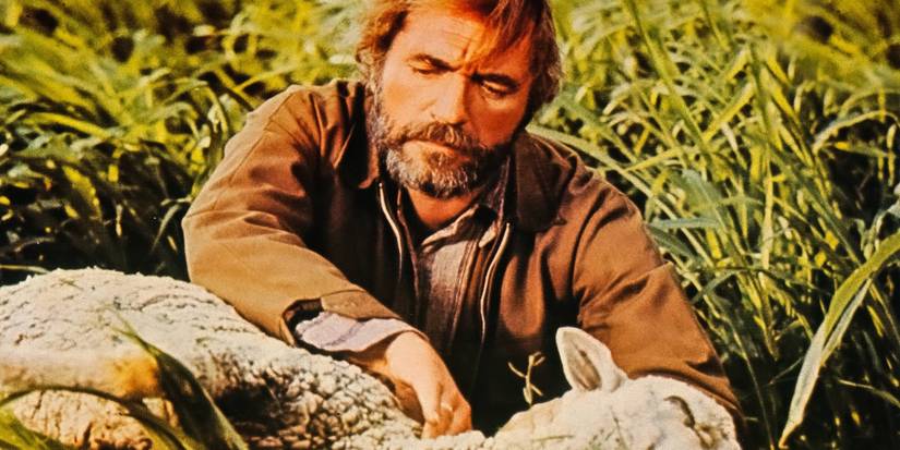 A man in the fields with a sheep in Phase IV