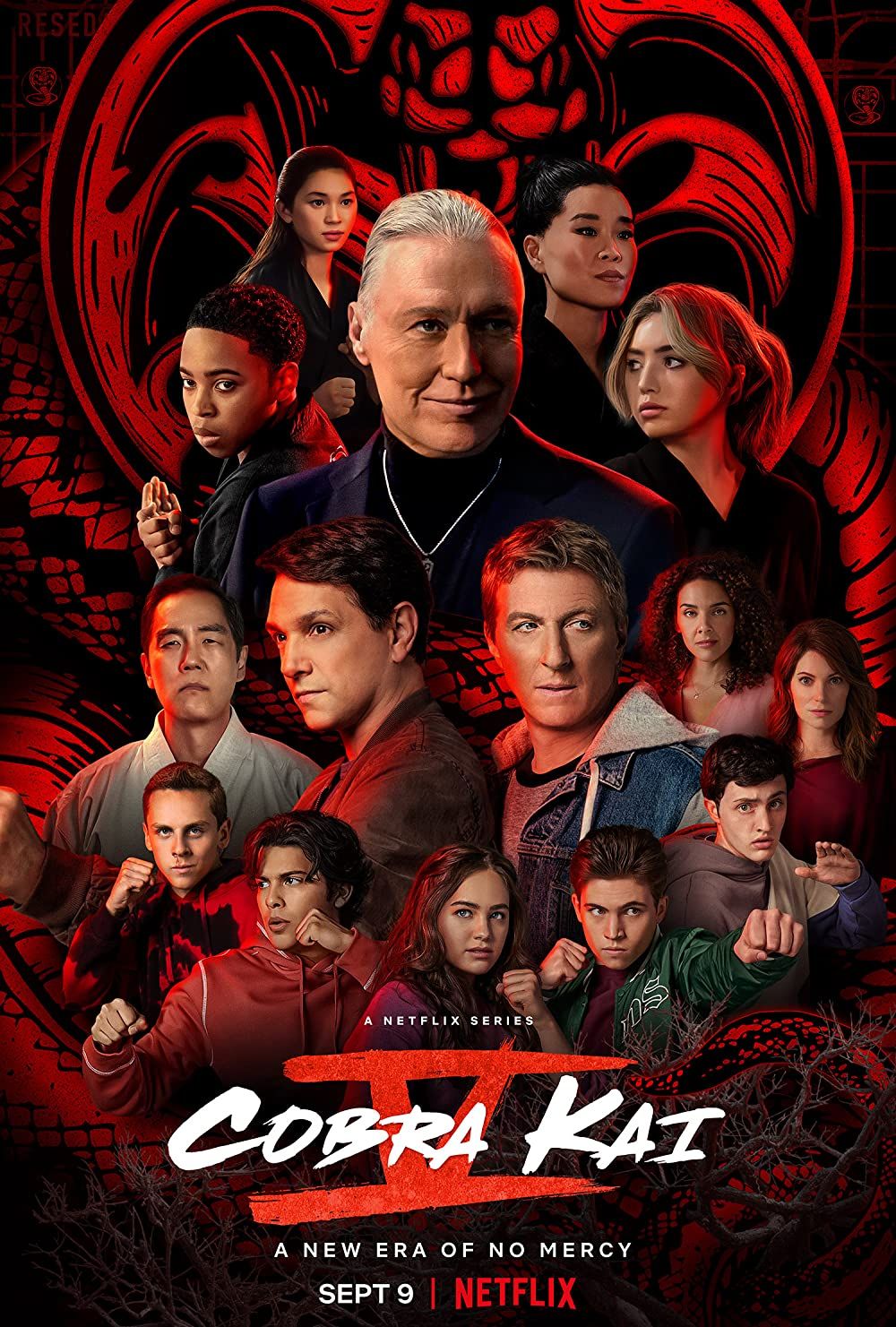 CS Interview: The Cast of Netflix's Cobra Kai on Season 3