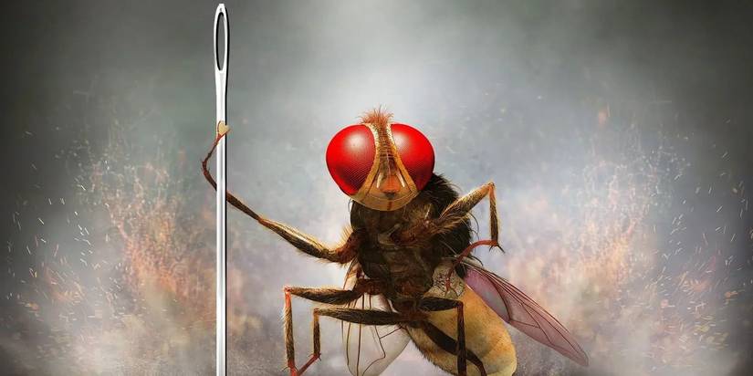 A still from the Bollywood action film Eega