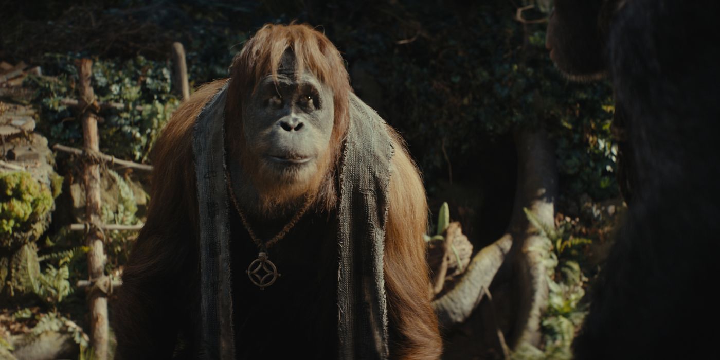 ‘Kingdom of the Planet of the Apes’ Cast Guide — Who Are the New Primates?